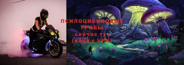 гидра Алексин