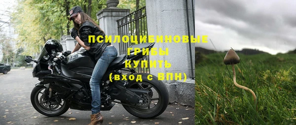 гидра Алексин