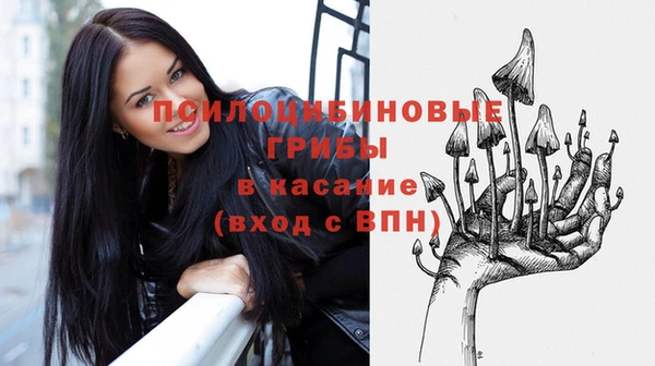 гидра Алексин
