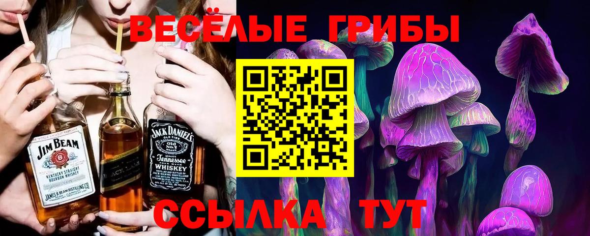 Галлюциногенные грибы мухоморы  Вход с VPN  Боровичи 